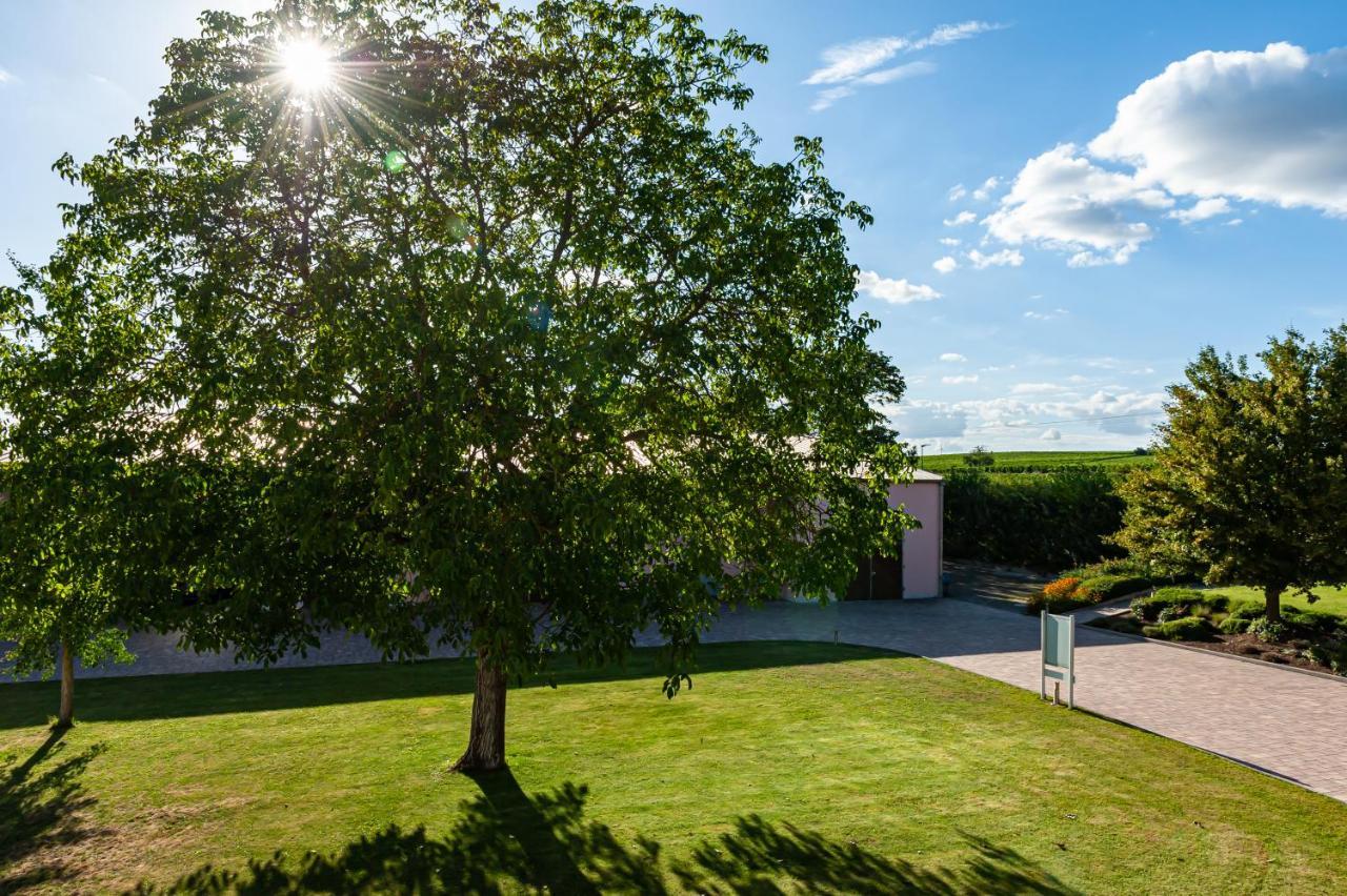 Landgut Schill Hotel Osthofen Luaran gambar