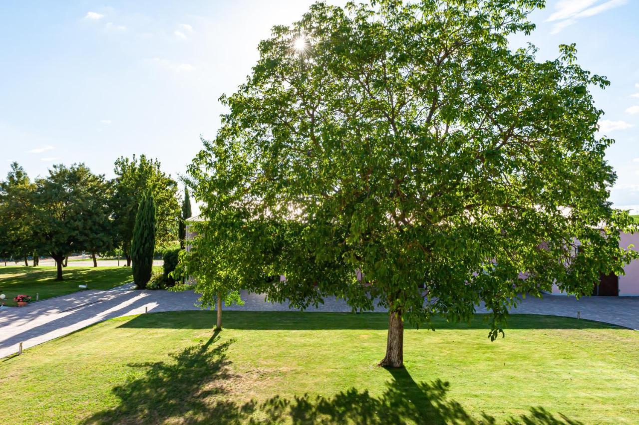 Landgut Schill Hotel Osthofen Luaran gambar